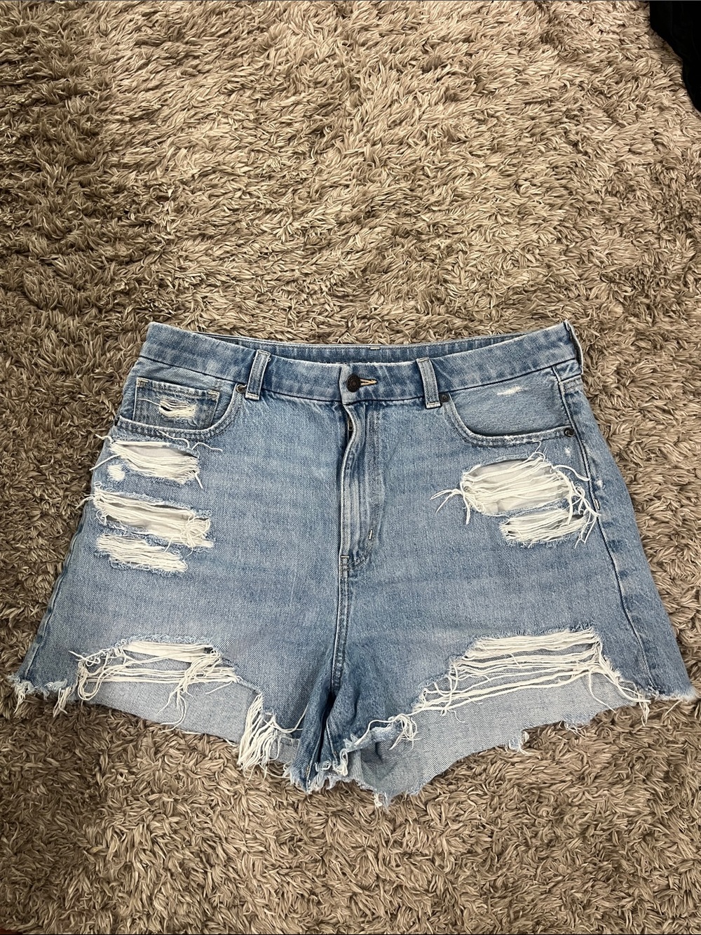American Eagle Outfitters Light Blue Distressed Denim Cutoff Shorts